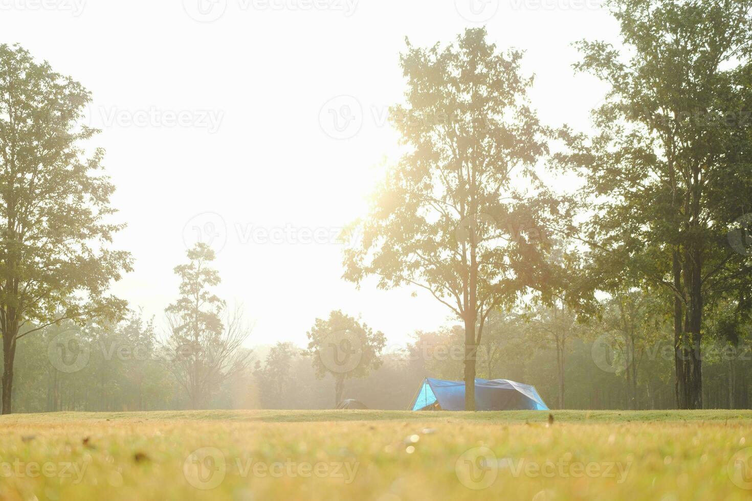 cámping y tienda debajo el pino bosque en puesta de sol foto