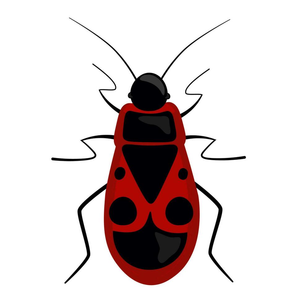 Red soldier beetle with black dots and spots on a white background. Vector illustration of ladybug, bedbug insect.