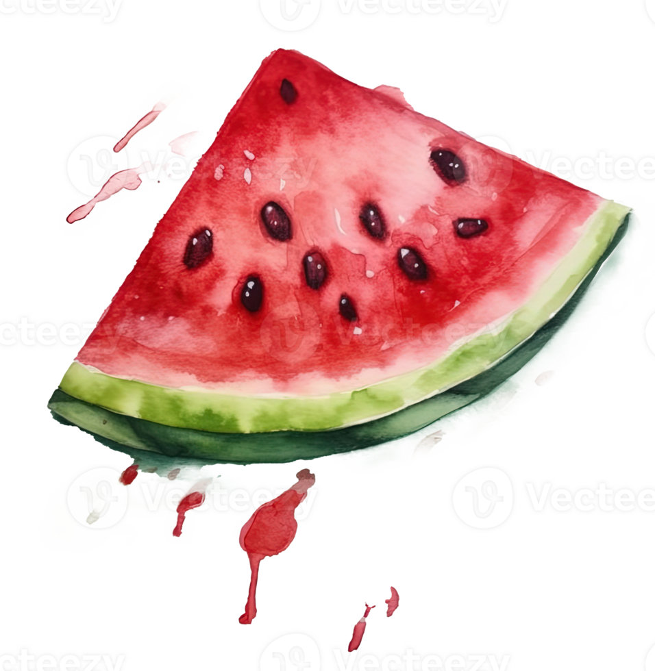 Watercolor watermelon isolated. Illustration png