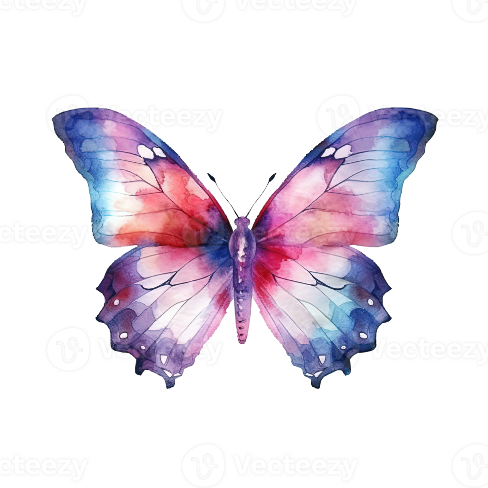 Watercolor butterfly. Illustration png
