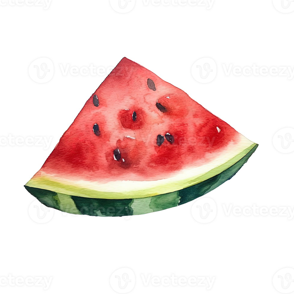 Watercolor watermelon isolated. Illustration png