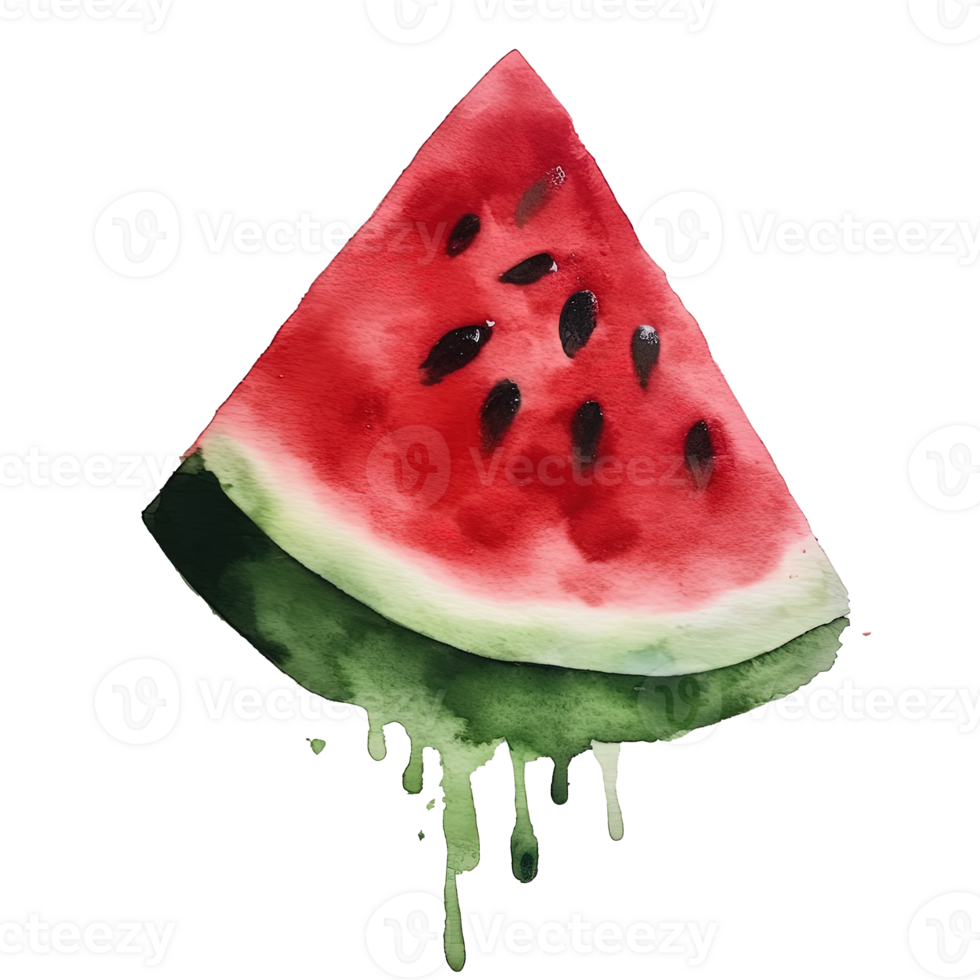 Watercolor watermelon isolated. Illustration png
