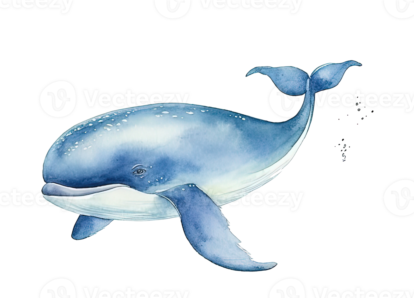 Watercolor Blue Whale Illustration png