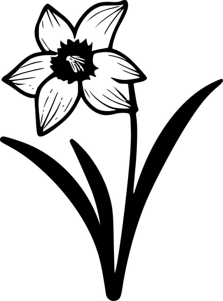 Daffodil, Black and White Vector illustration