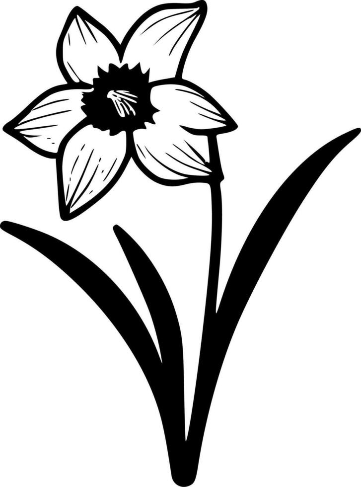 Daffodil, Black and White Vector illustration