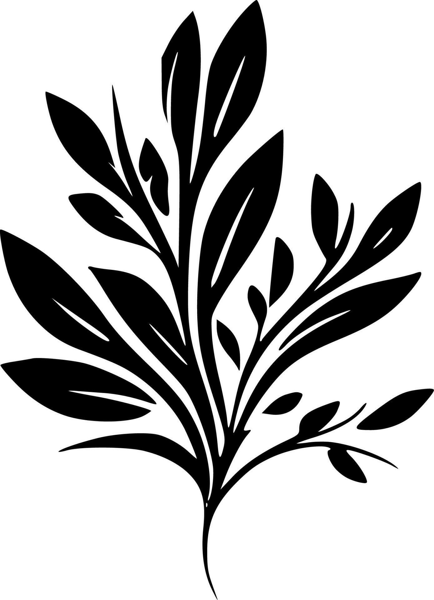 Flourish, Black and White Vector illustration 23854374 Vector Art at