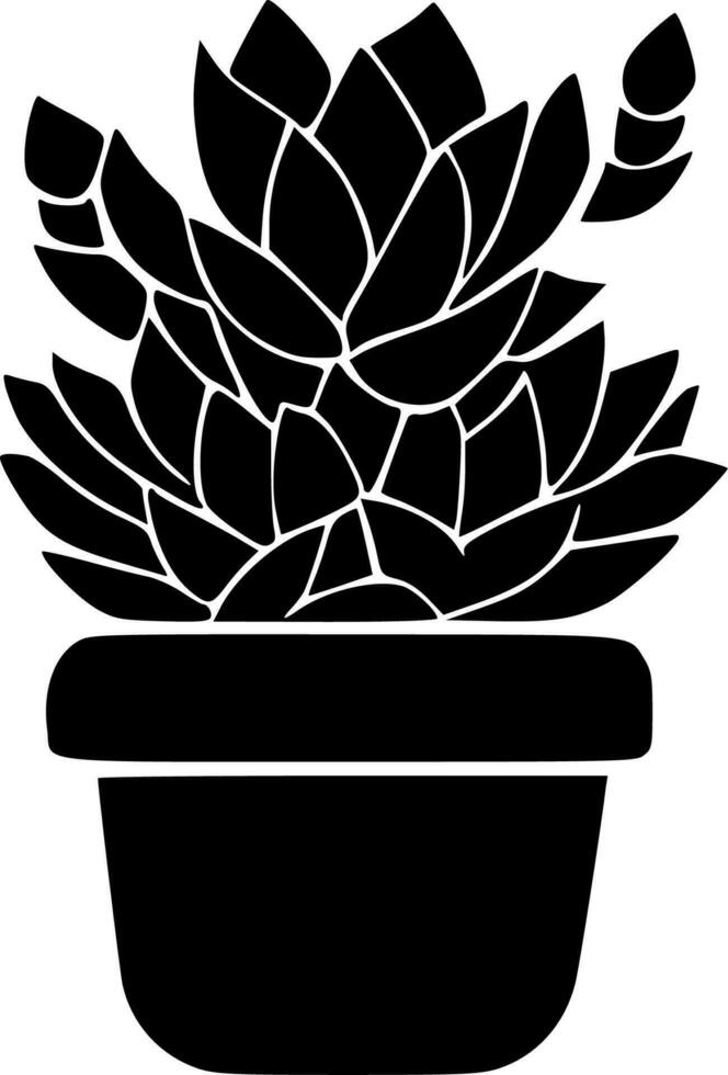 Succulent, Black and White Plant vector