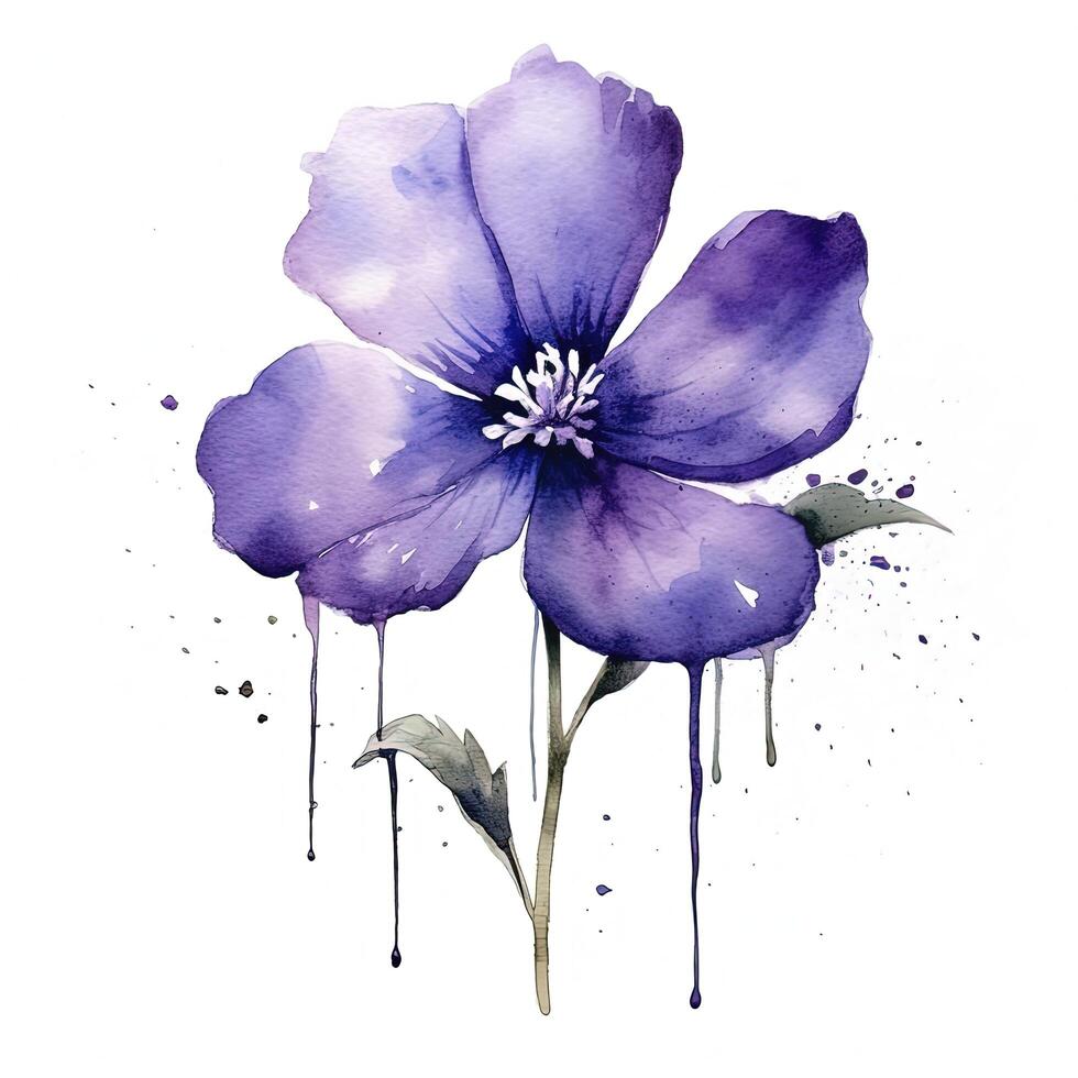 Violet watercolor flower. Illustration photo