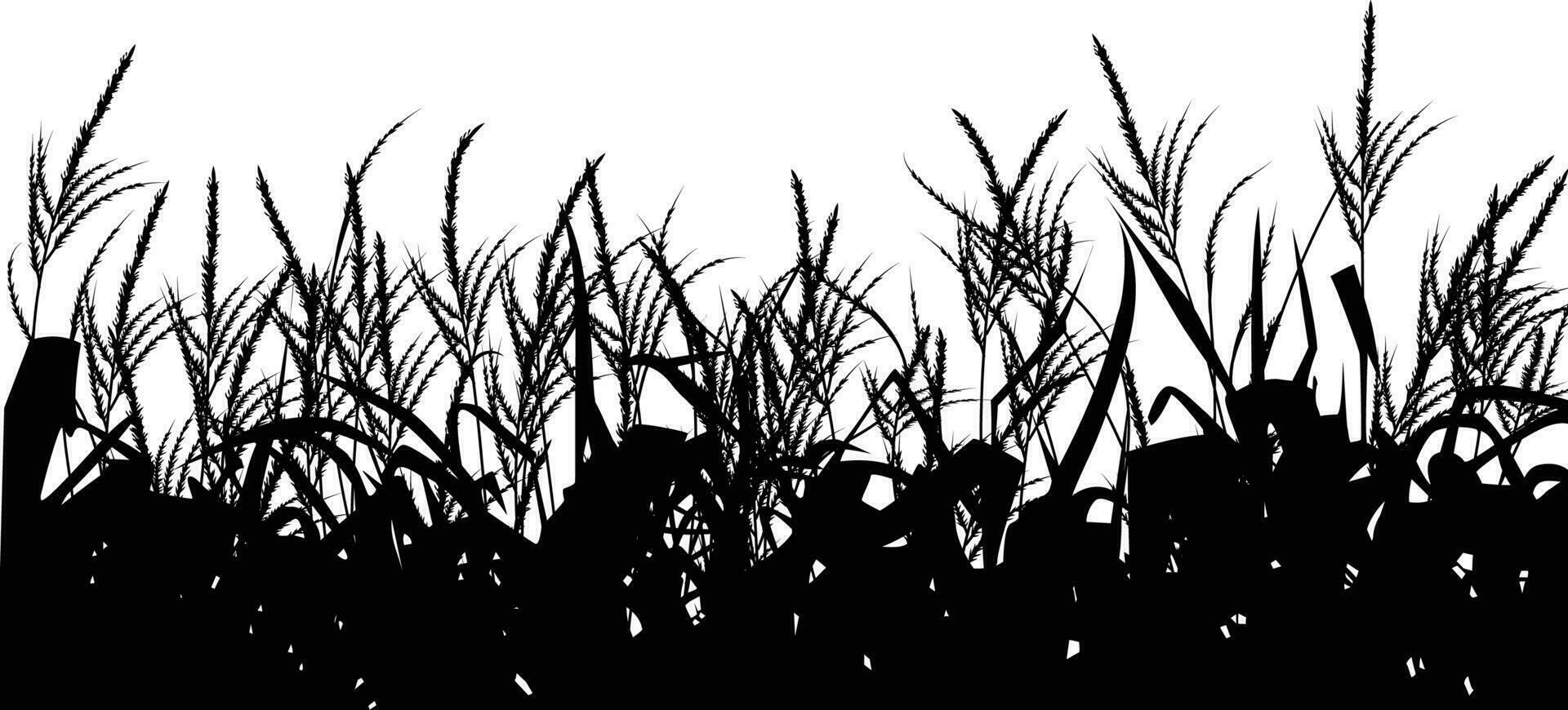 Cornfield silhouette black and white vector illustration