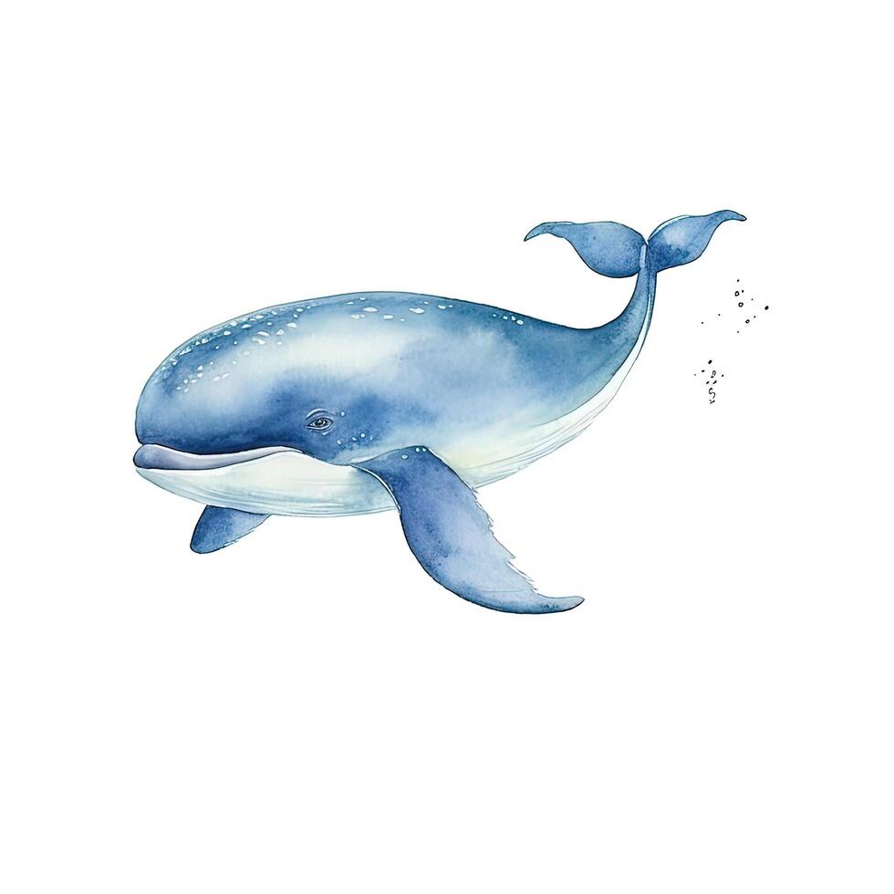 Watercolor Blue Whale Illustration photo