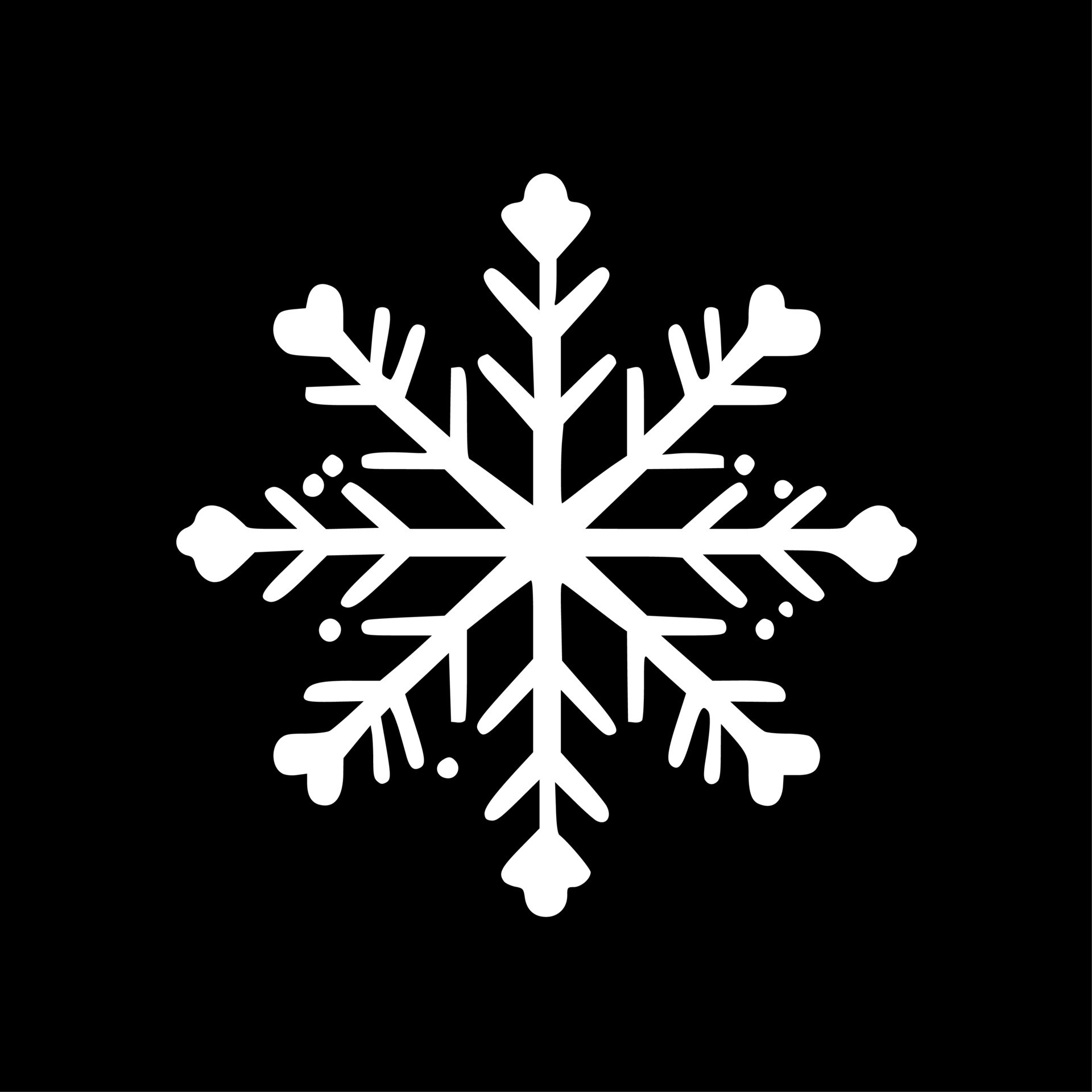 Snowflake Black and White Isolated Icon Vector illustration