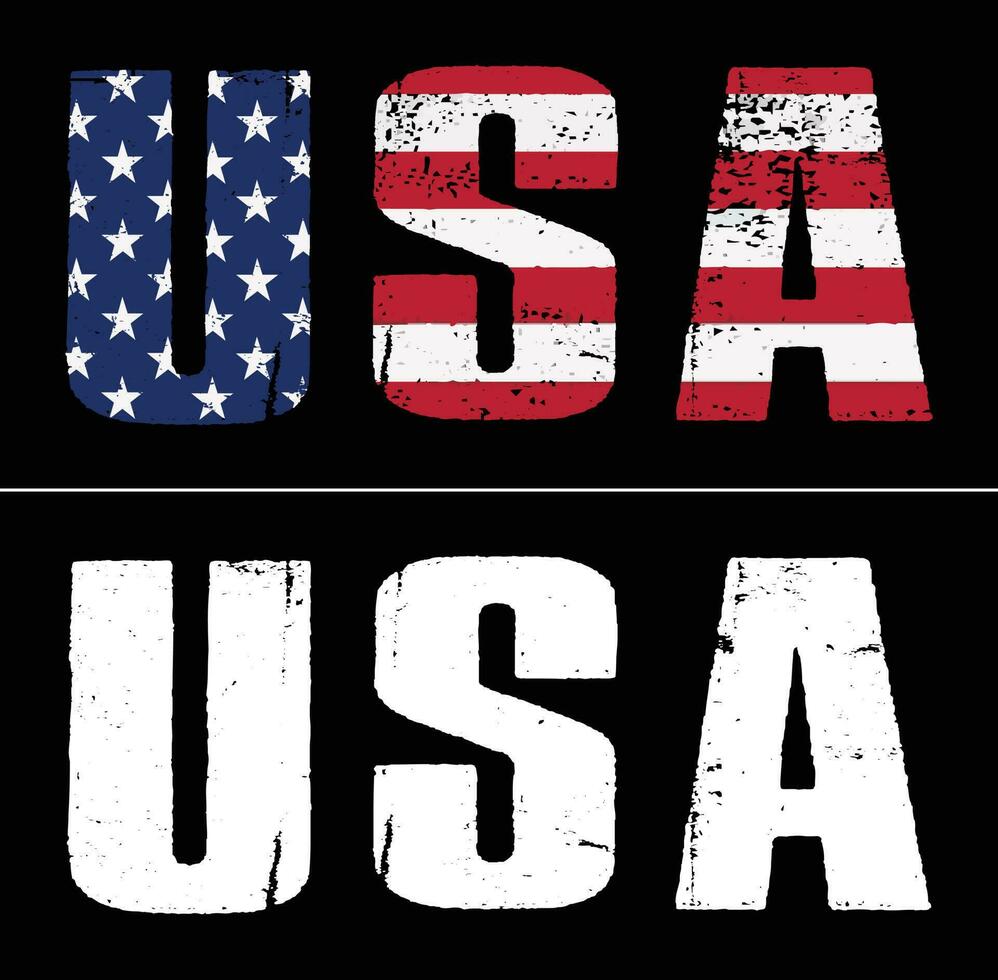 USA With American Flag Word Text Design vector