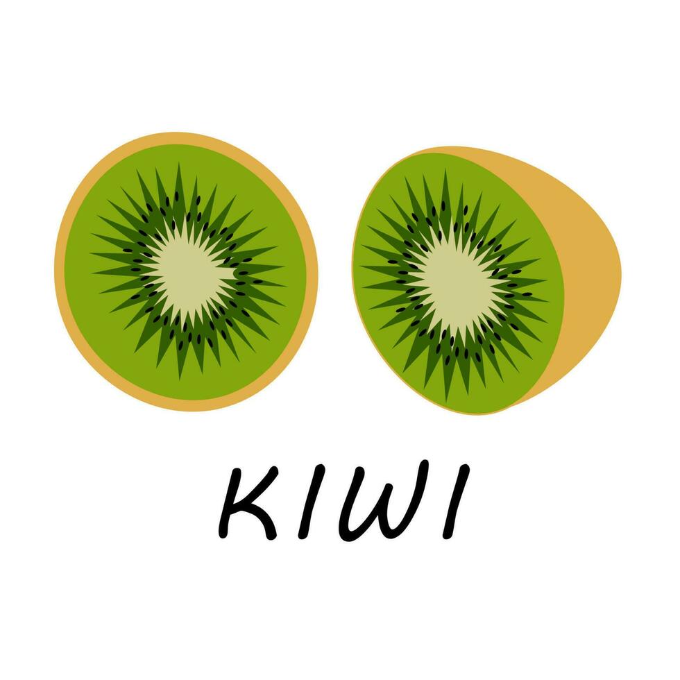 a single vector illustration of a kiwi fruit. Lines art tropical kiwi fruit, doodle