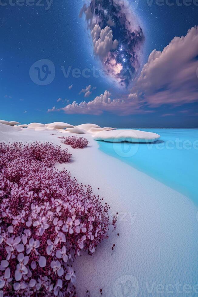 field of purple flowers next to a body of water. . photo