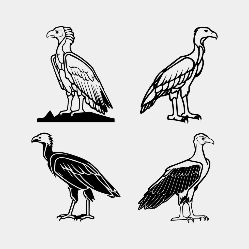 set of Black vultures on a white background. African animals. Vector illustration