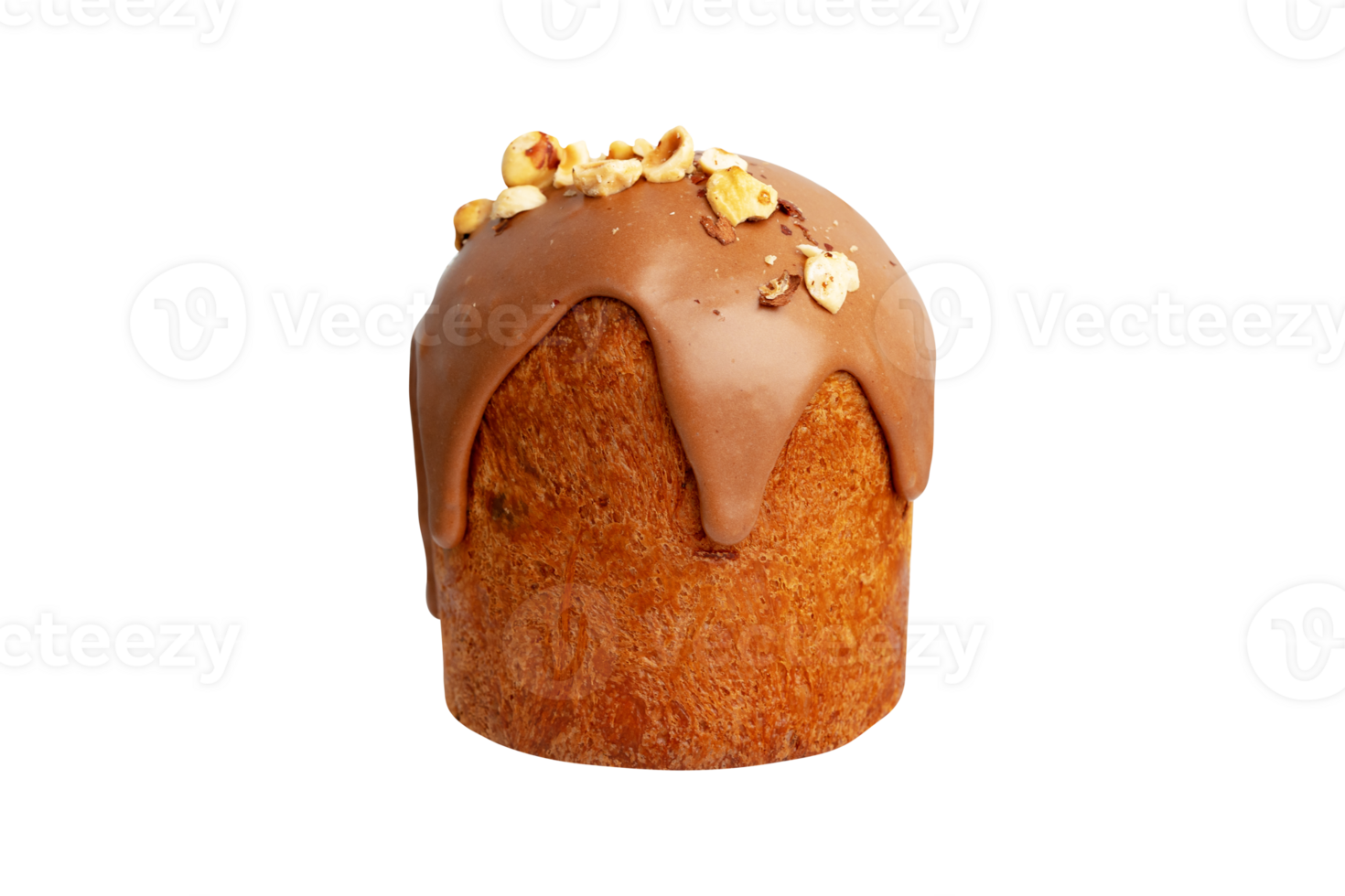 Chocolate cake with chocolate topping and nuts on transparent background png