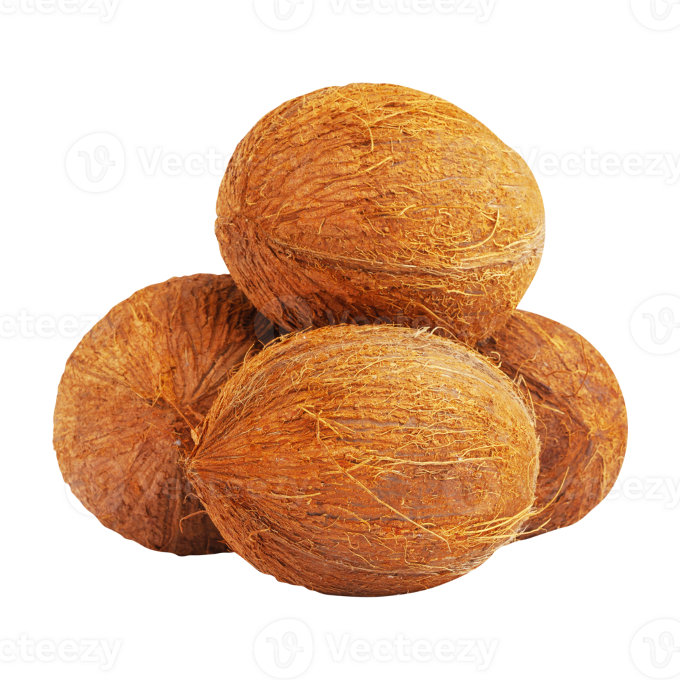 Collage of whole coconut pieces isolated on transparent background