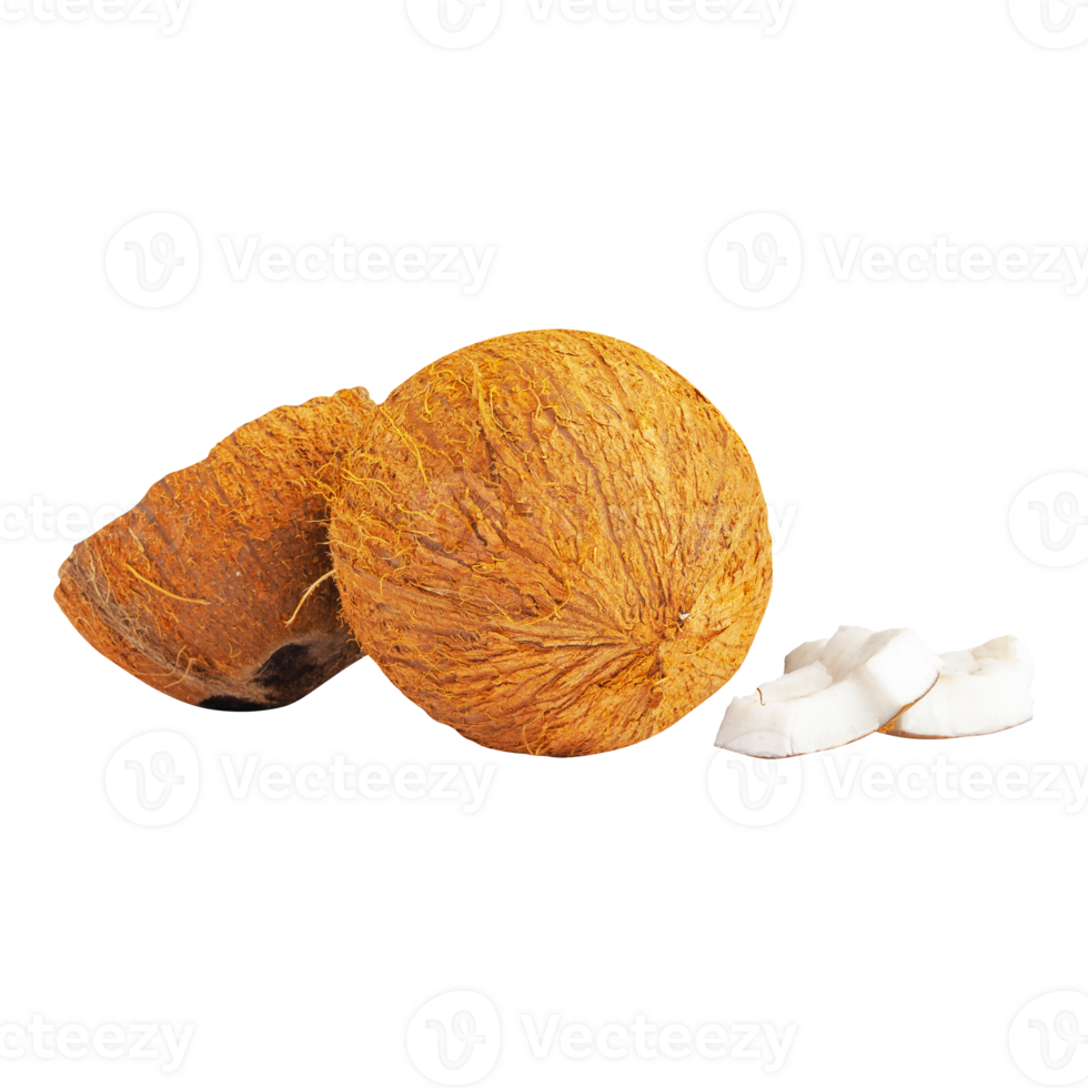 Set of broken coconut pieces isolated on transparent background png