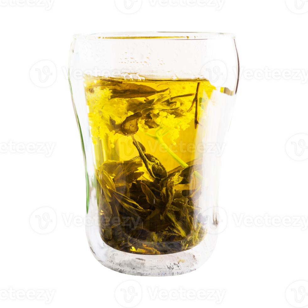 verde té con vaso aislado en transparente antecedentes png