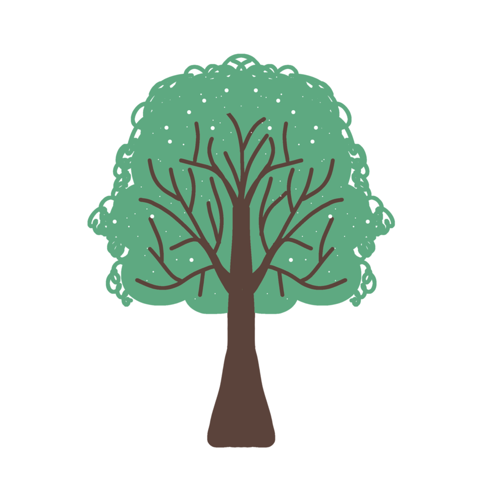 Tree plant green with branches oak tree for sticker or ppt free transparent background png hand drawn