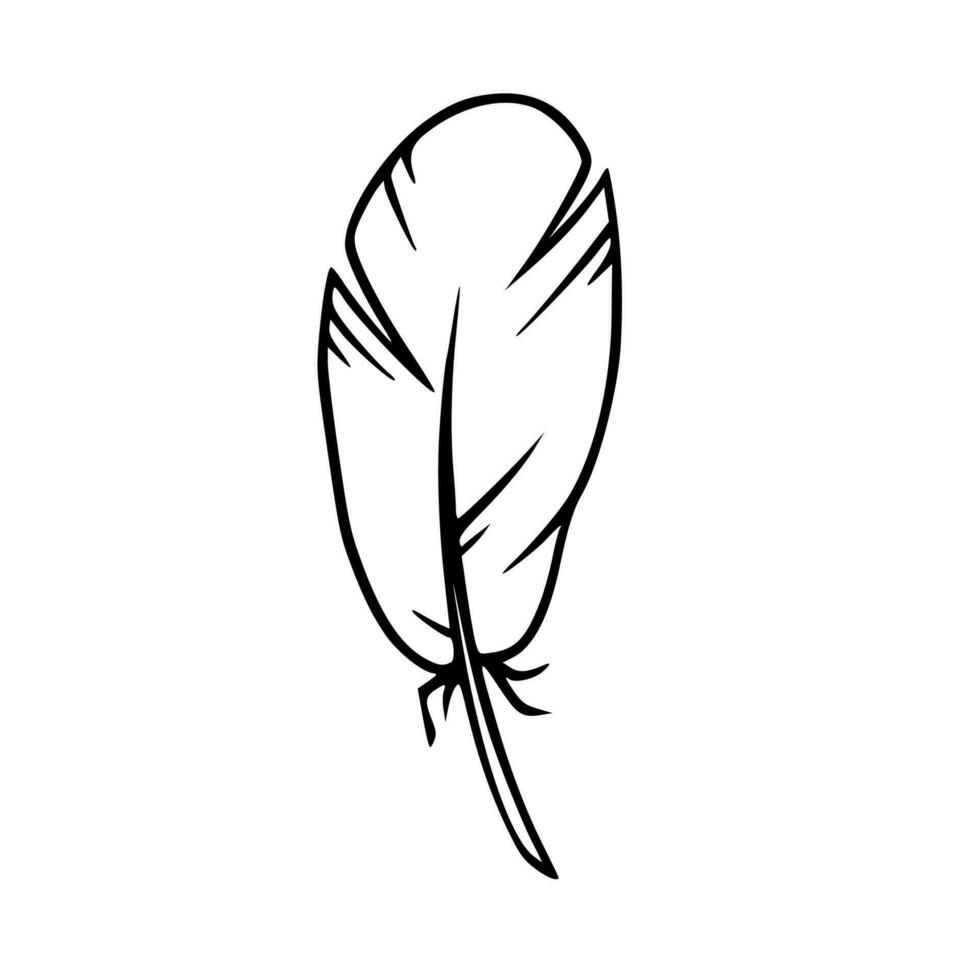 Feather sketch. Feather for decoration or writing. Vector illustration