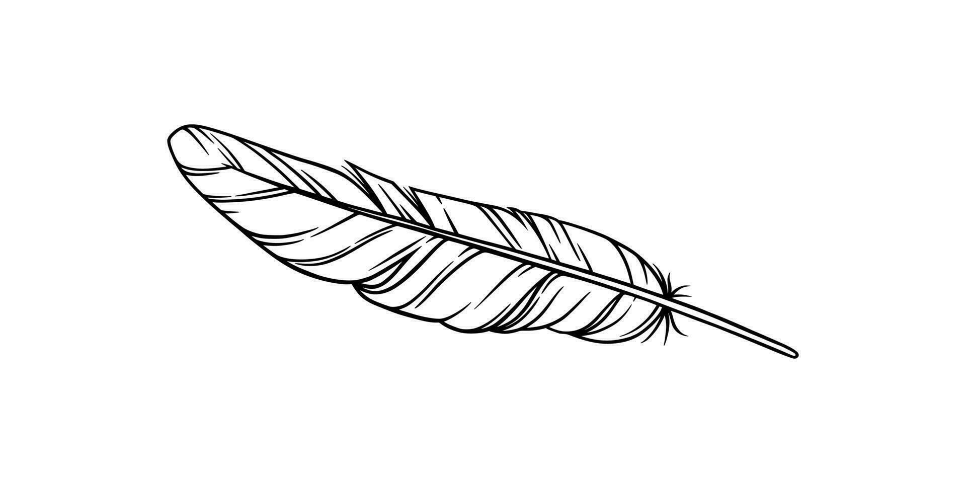 Bird feather for a dreamcatcher. Sketch feather illustration for a tattoo design. Vector illustration