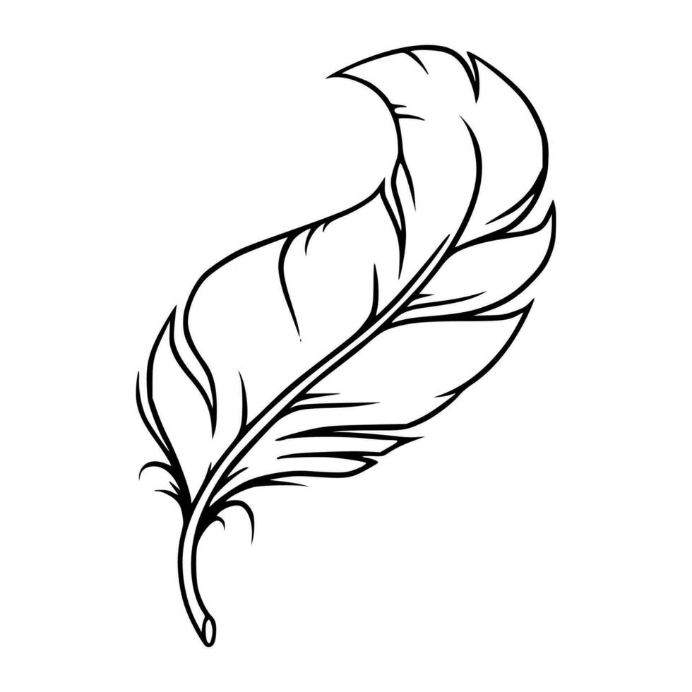 Feather sketch. Feather for decoration or writing. Vector illustration