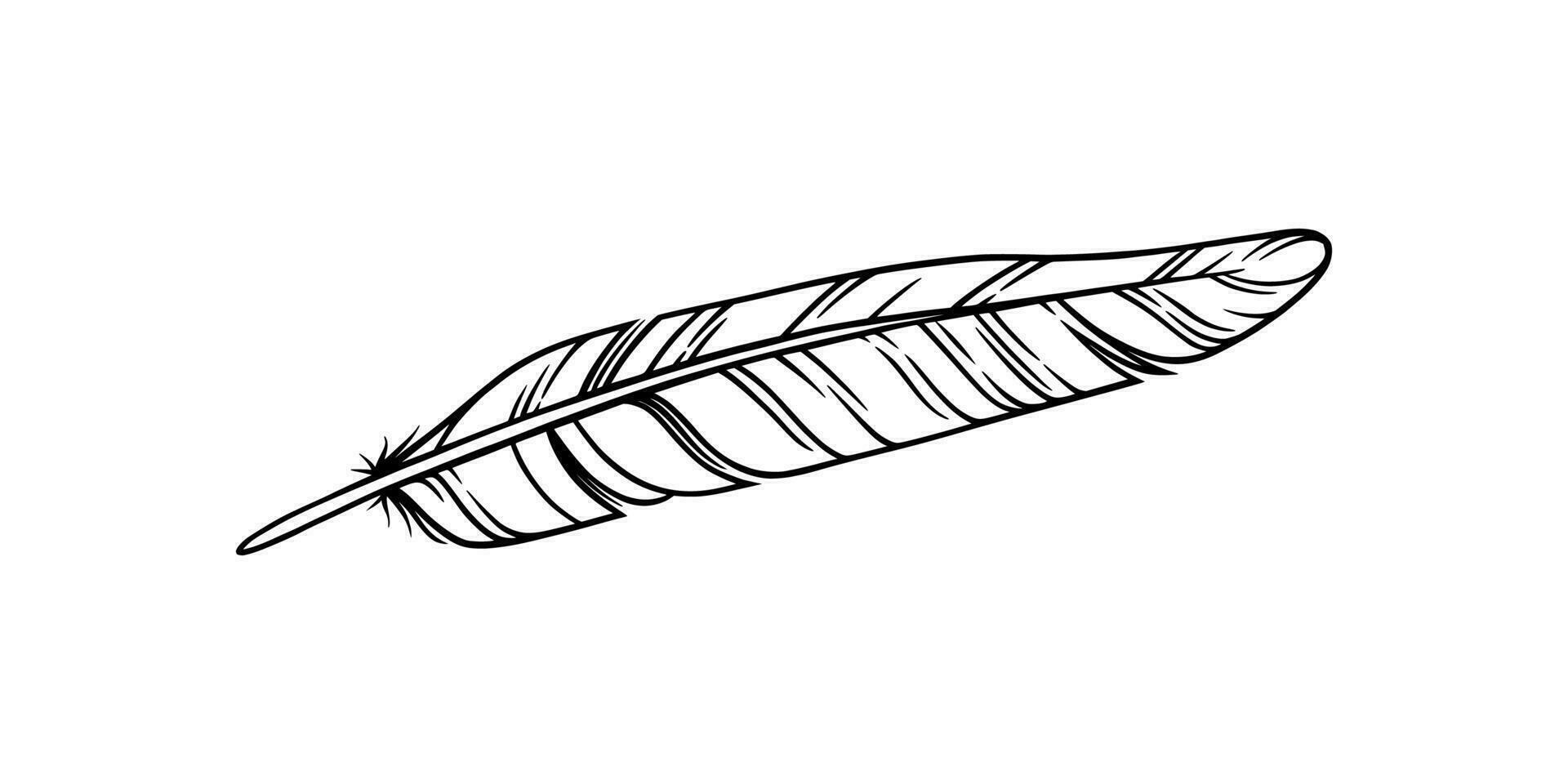 Bird feather for a quill. Sketch feather illustration for a tattoo design. Vector illustration