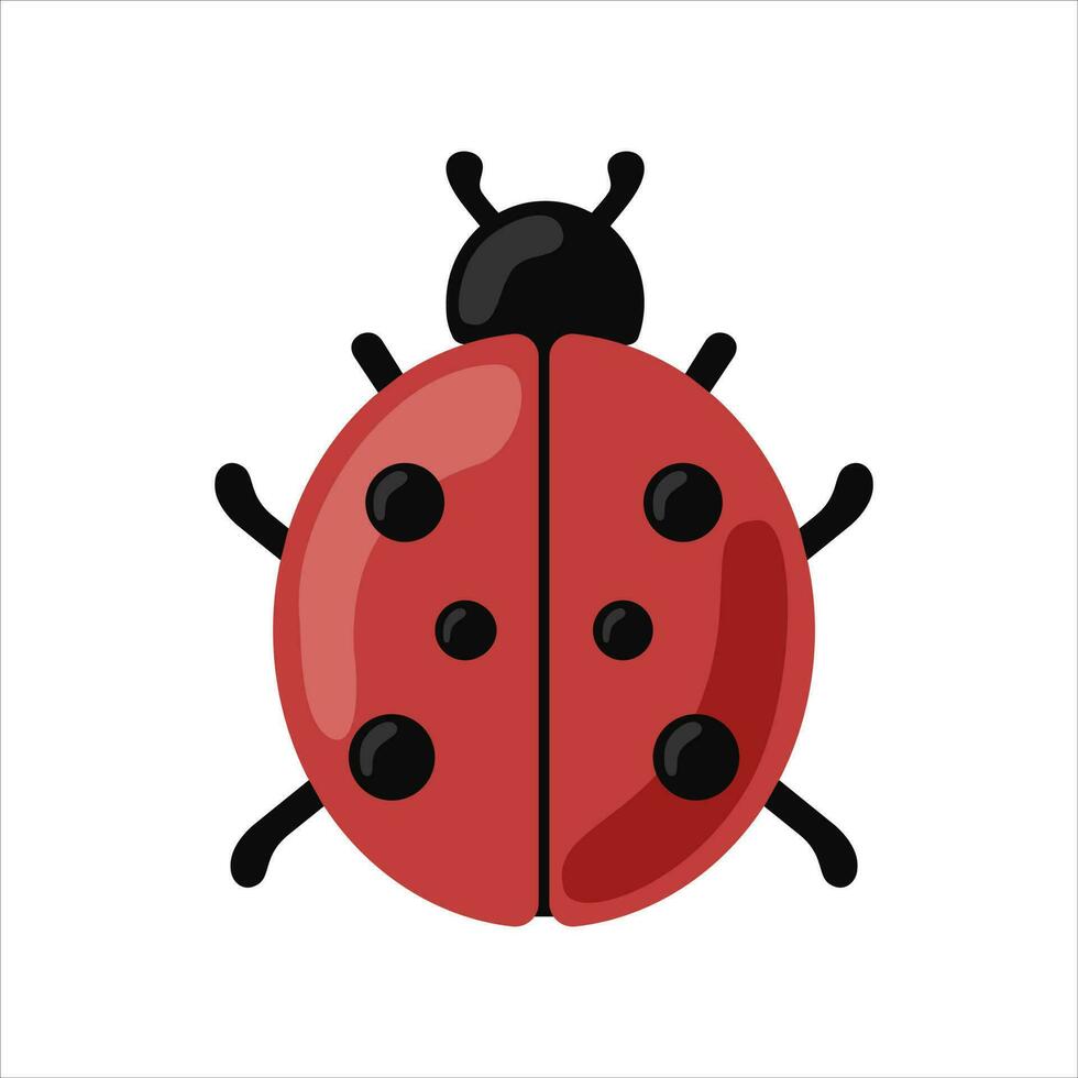 Vector color illustration of a ladybird.