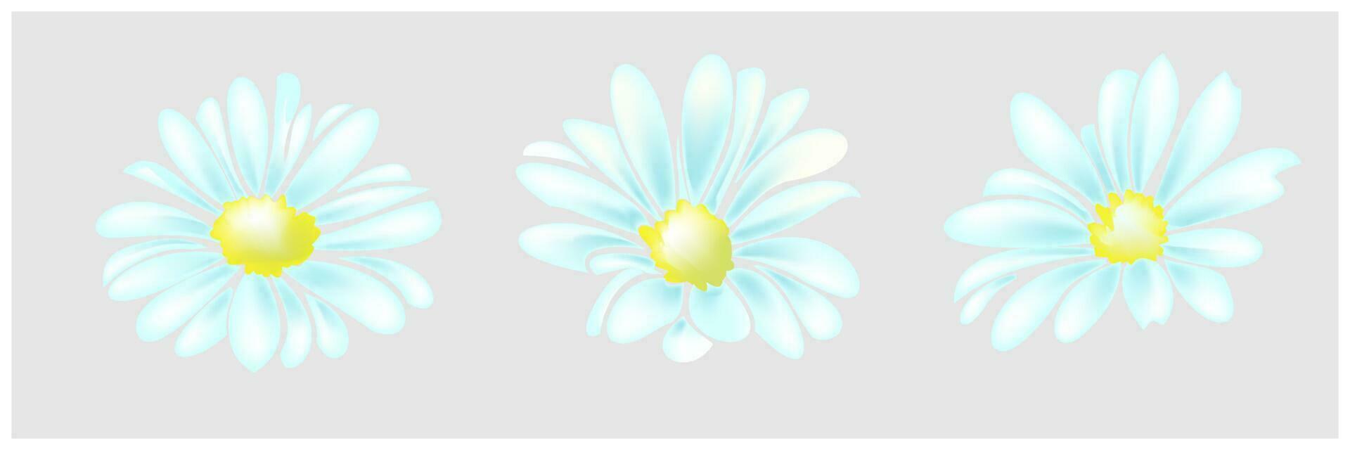 margarita elementos florales dibujados a mano vector