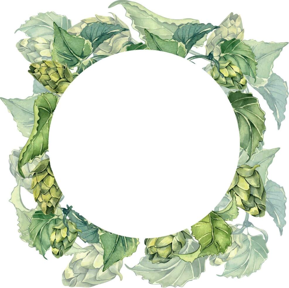 Frame of hop vine, plant humulus watercolor illustration isolated on white background. vector
