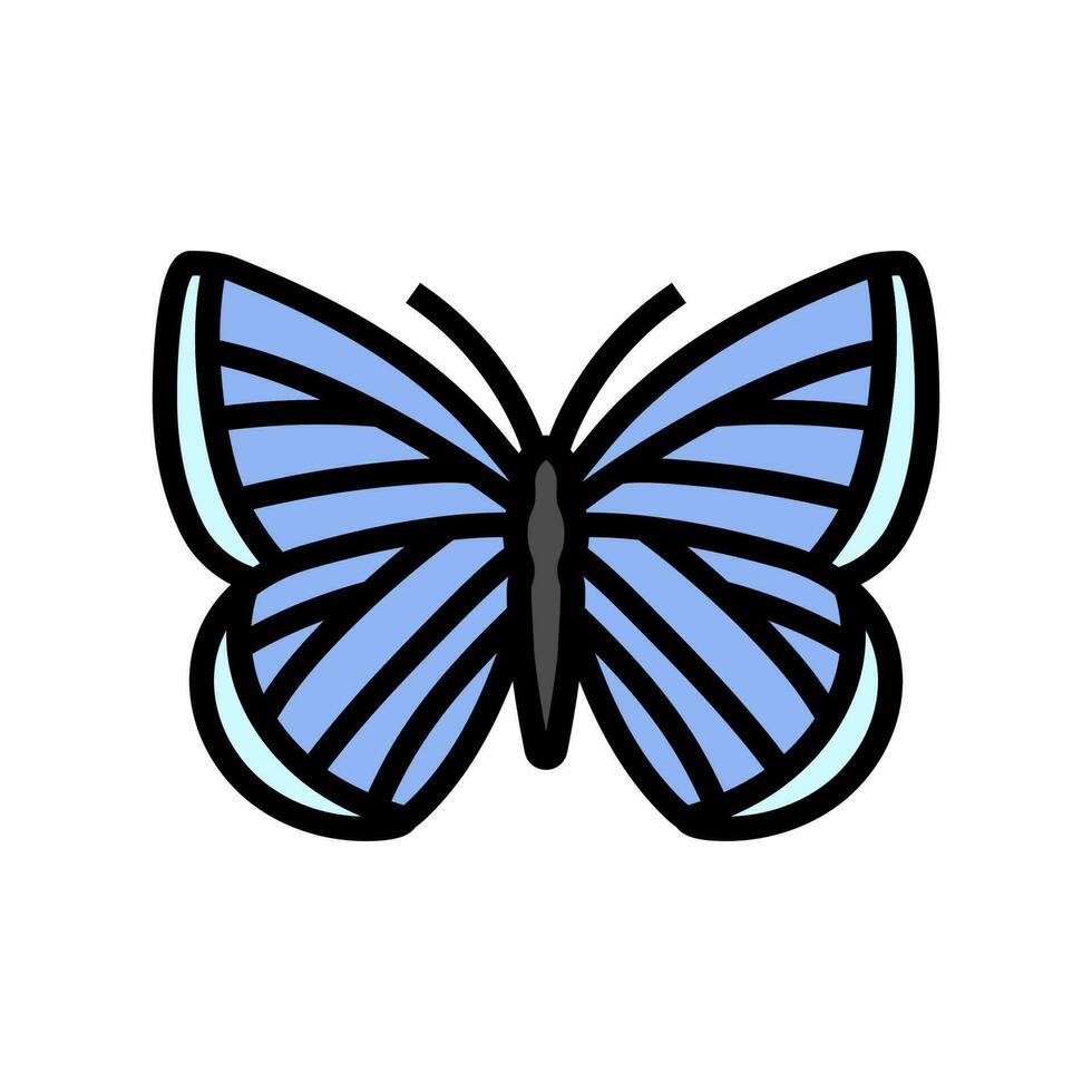 spring azure insect color icon vector illustration