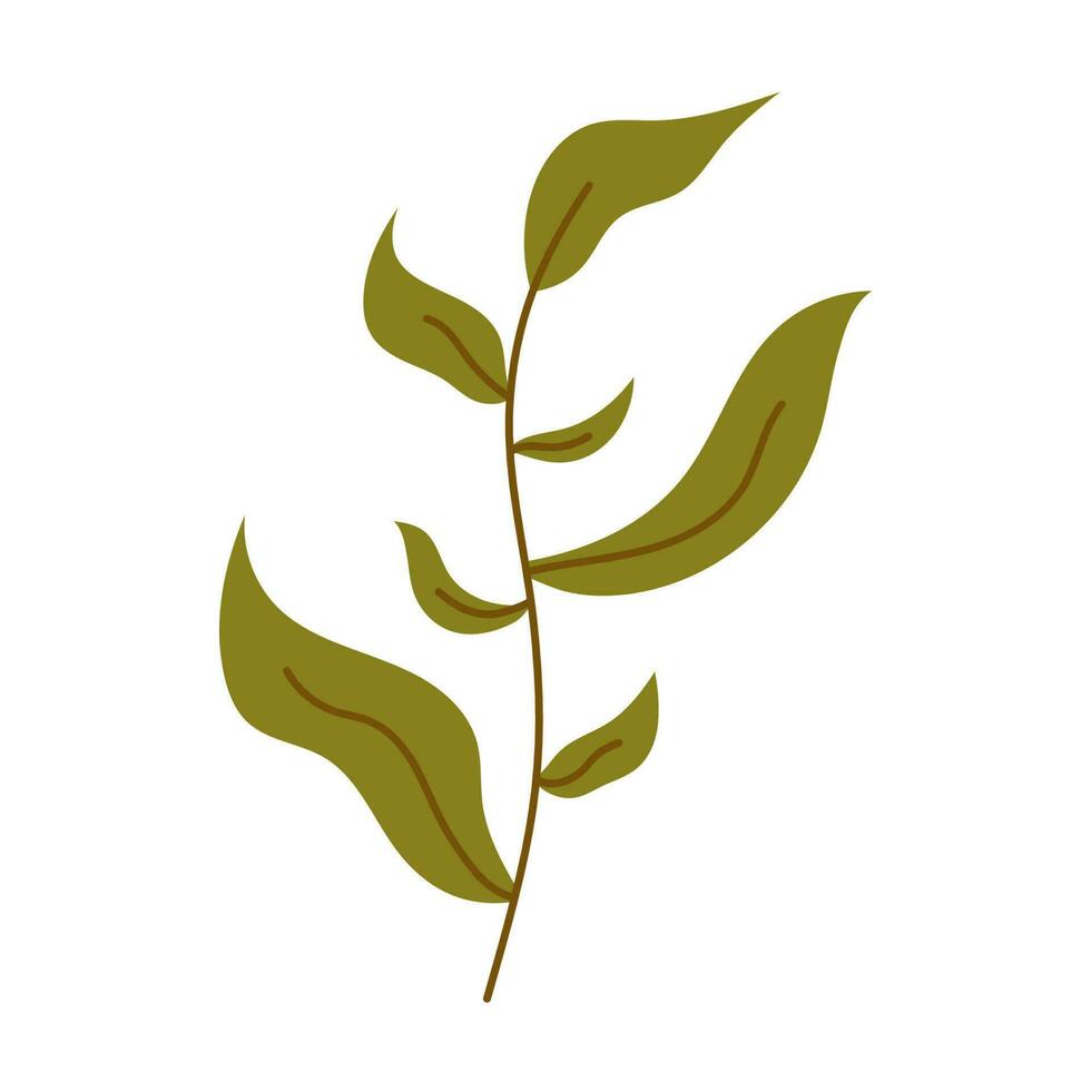 Spring green plant branch hand drawn. Vector stock illustration. Easter decoration. Floral branch. Hand drawn elements. Good for greeting cards, invitations, flyers and other graphic design. leaves
