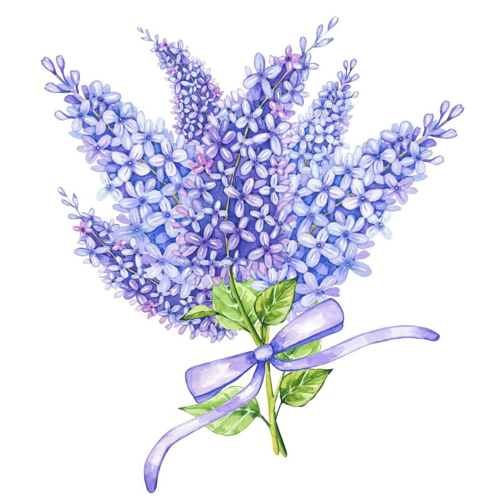 Watercolor bouquet of lilac flower with purple ribbon vector