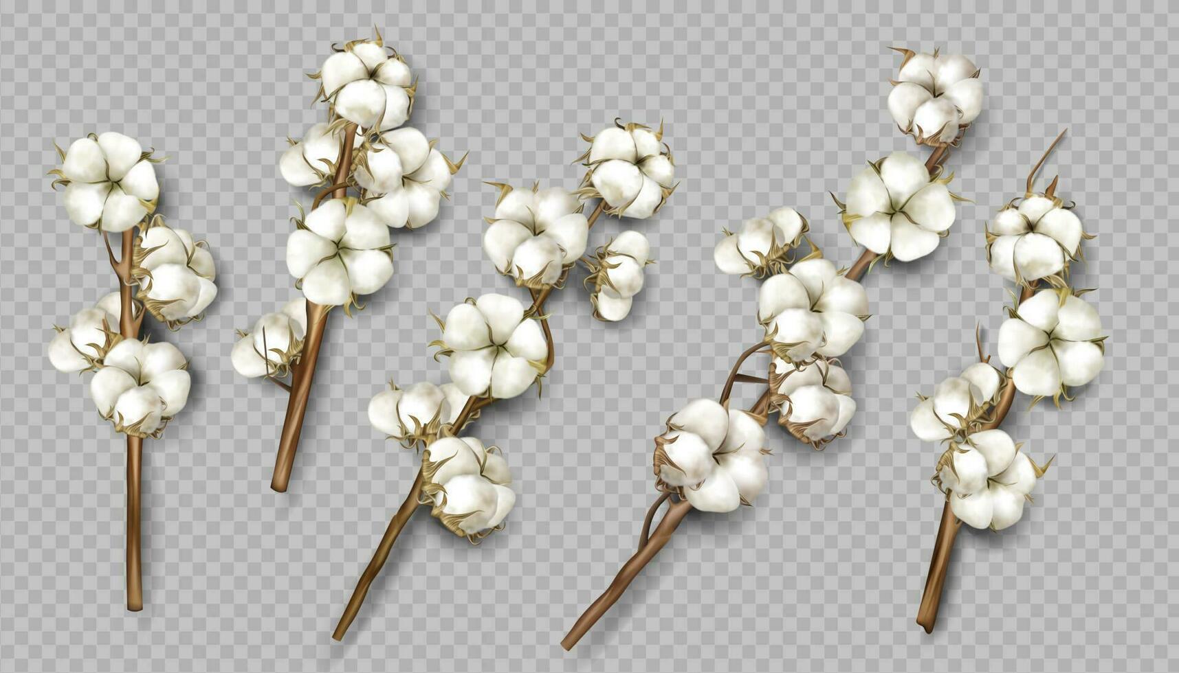 Realistic cotton branches with flowers and stems vector