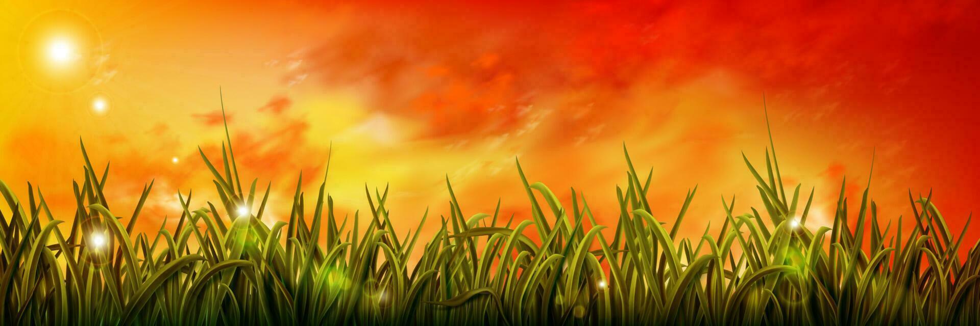 Realistic green grass under orange sunrise sky vector