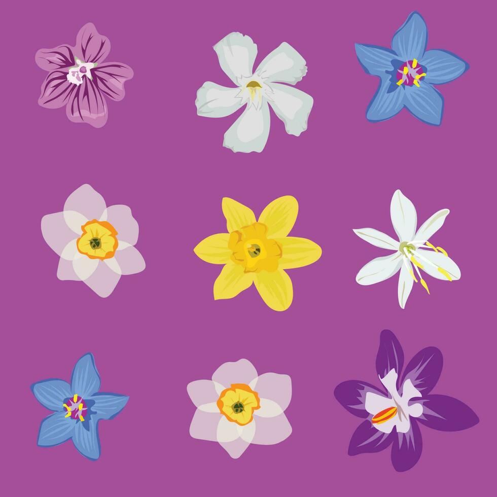 Realistic Flower Assortment vector