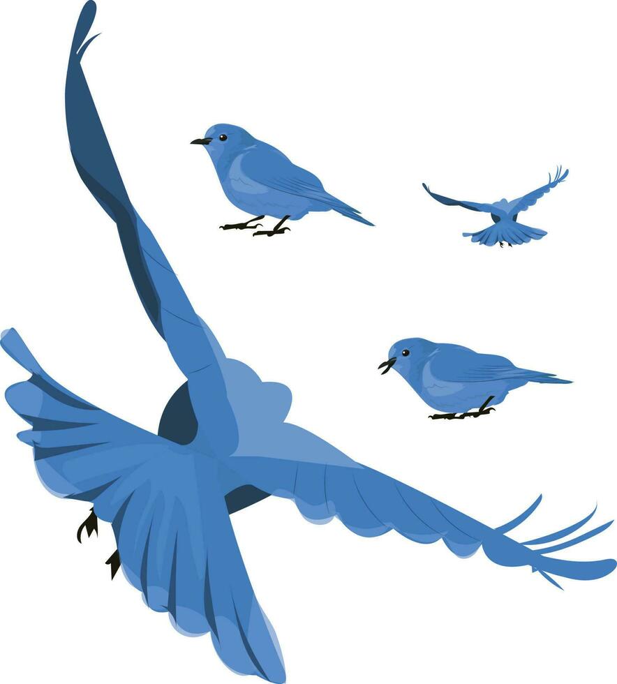 azul aves en varios poses vector