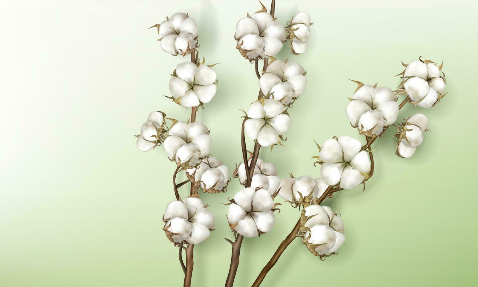 realista algodón ramas con flores y tallos vector