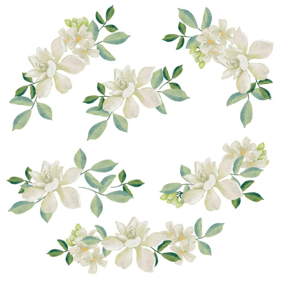 watercolor white thai flower gardenia and orange jasmine bouquet wreath frame collection vector