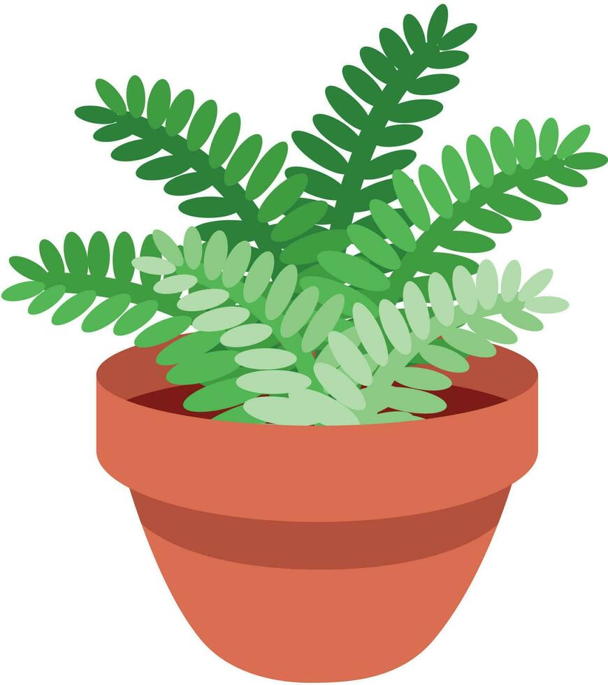 plant in pot, Decoration Plant vector