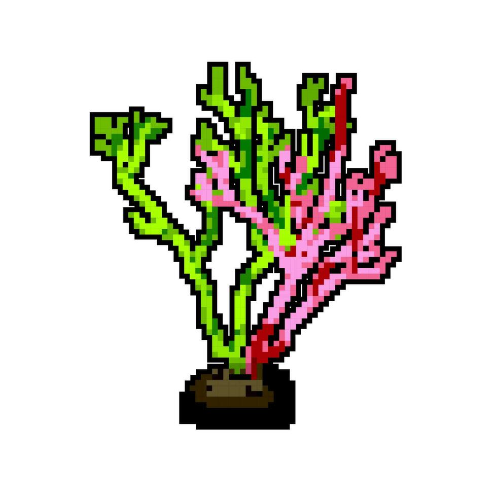 nature aquarium plant game pixel art vector illustration