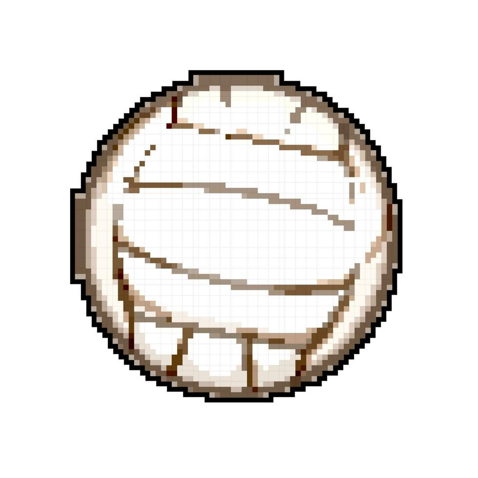 vóleibol pelota deporte juego píxel Arte vector ilustración