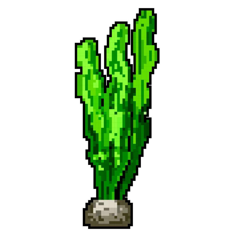 tropical aquarium plant game pixel art vector illustration