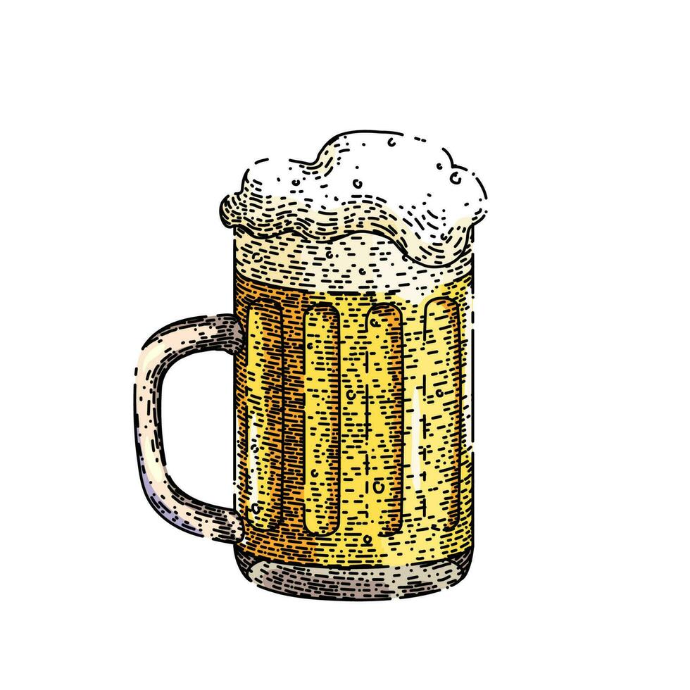 beer lager cup sketch hand drawn vector