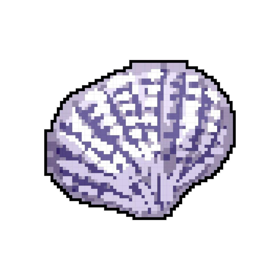 beach sea shell game pixel art vector illustration