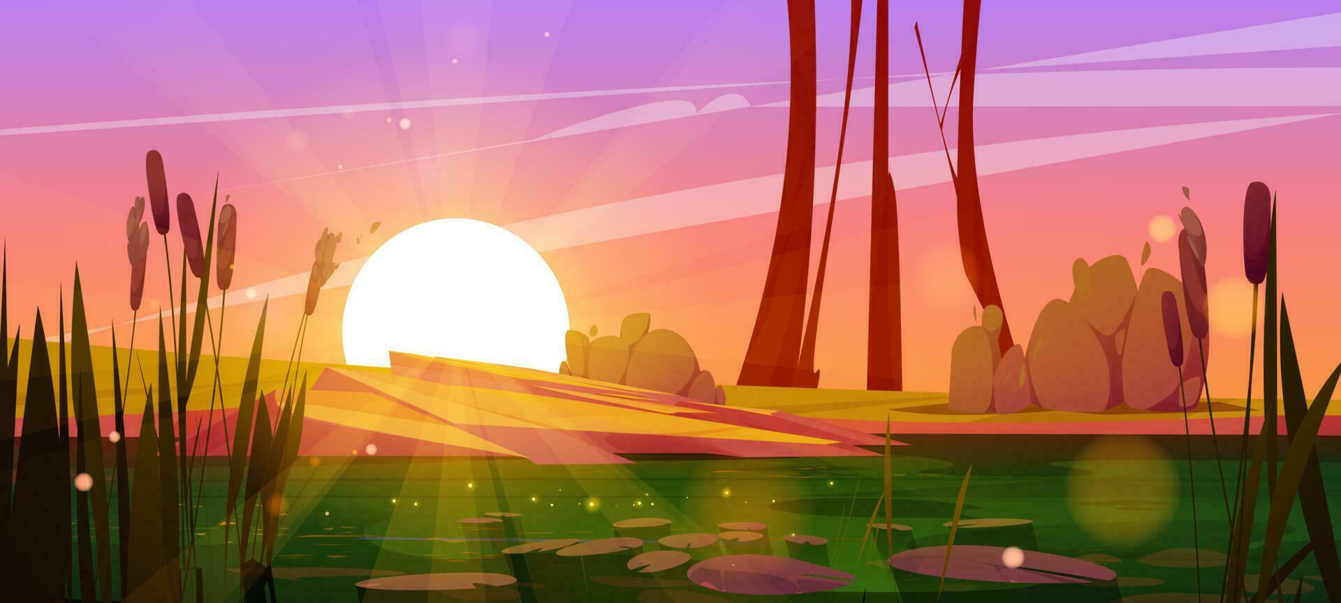 Green swamp and cattail near lake, pink sunset vector