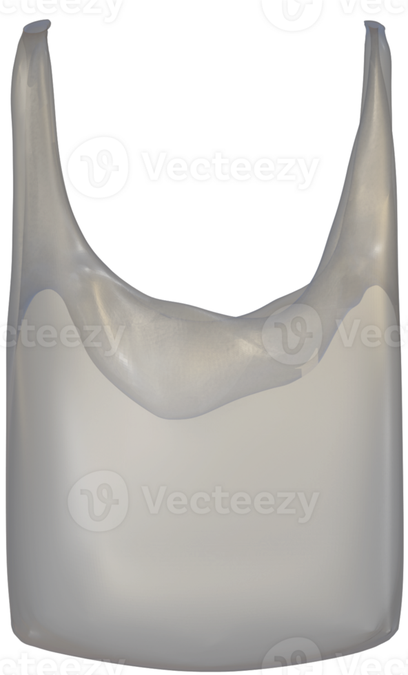 plastic bag pollution environmental protection vinyl disposable eco bag arrondissement shopping 3D international plastic bag free day png