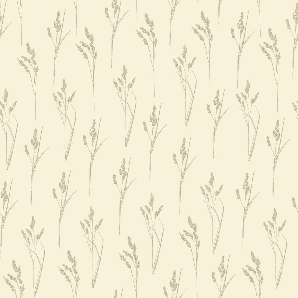 Botanical sketch with grass seamless pattern. Wild field elements, grains scattered random. Ink vector pattern. Hand drawn sketch on beige background