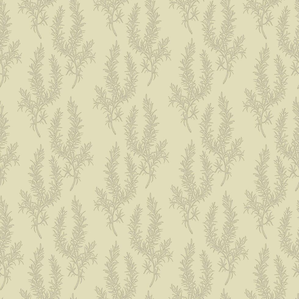 Herbal seamless ink pattern with rosemary on beige background. vector